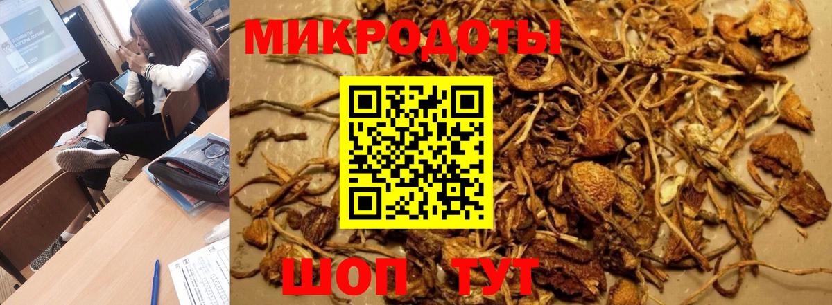 Псилоцибиновые грибы мицелий Скопин